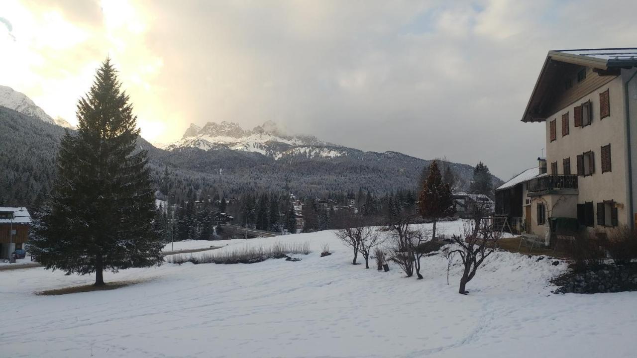 Casa Vacanze Miramonti - Appartamento Con Balcone Con Vista Sulle Dolomiti Borca di Cadore Eksteriør billede