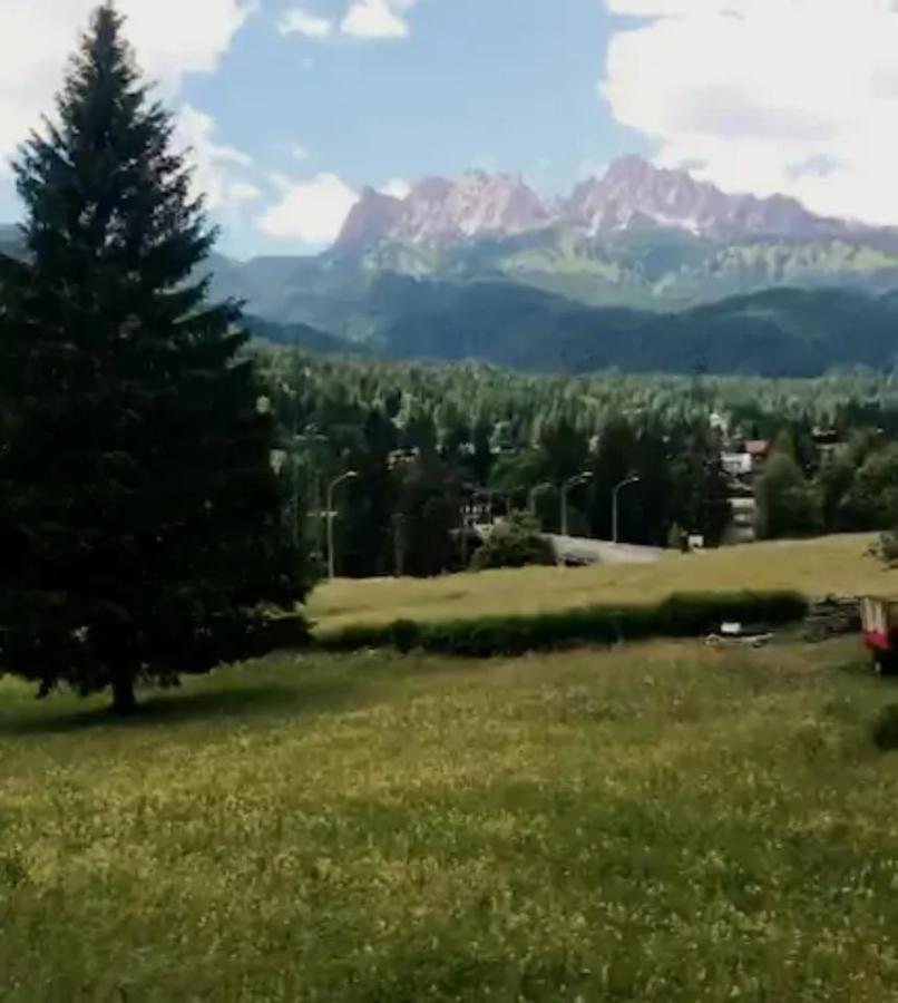 Casa Vacanze Miramonti - Appartamento Con Balcone Con Vista Sulle Dolomiti Borca di Cadore Eksteriør billede
